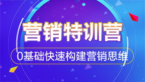互聯(lián)網(wǎng)營銷特訓(xùn)營 0基礎(chǔ)快速構(gòu)建營銷思維，掌握銷售實戰(zhàn)
